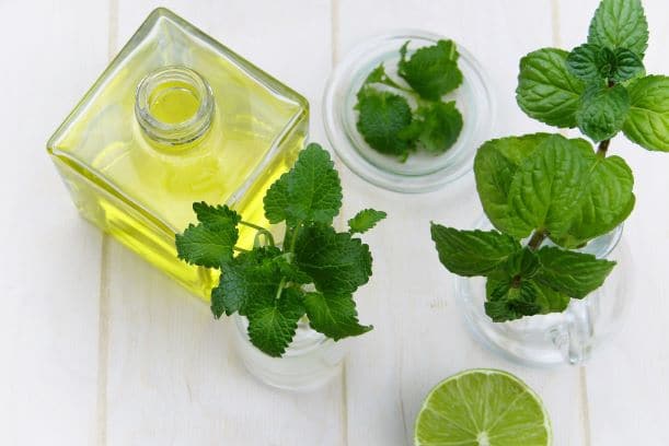 Peppermint Ingredients Salcura Skincare