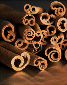 Cinnamon Oil salcura natural skincare