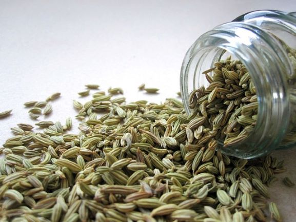 Fennel oil salcura natural skin care